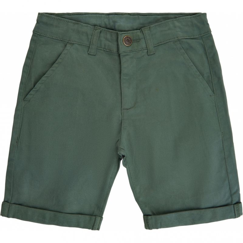 The New Gustavo chino shorts thyme