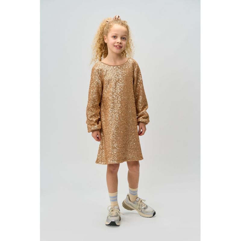 The New Rupa sequin dress gold